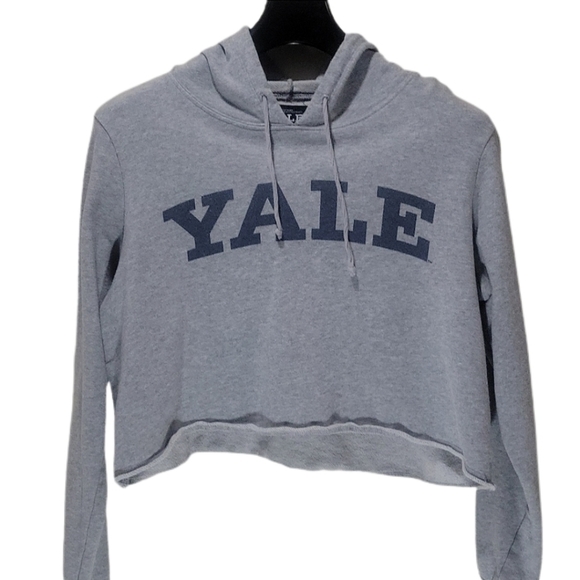 Yale Cactus and Pearl Sweaters - YALE  CROP TOP hoodie long sleeves pull over sweater gray